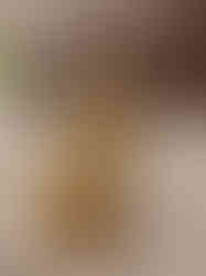 Brass Fine art Lotus Lakshmi idol