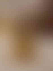 The Famous Poet Thiruvalluvar Brass Statue 3″