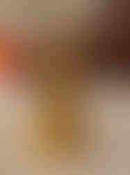 Brass Annaporani Idol