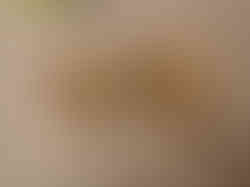 Brass Agal Diya Stone finish