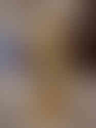 Brass Murugan Peacock Idol