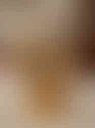 Brass Two Peacock on tree Statue