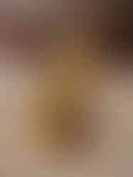 Brass Ganesha Idol Well Designed