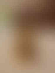 Brass Miniature Fine Art Ganesha Statue 1″