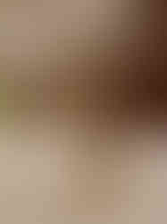 Brass Rising Horse idol