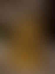 Brass Shivan Family Idol 9"