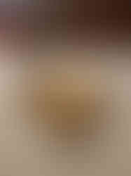 Brass Sangu decorative Diya – 7.2″