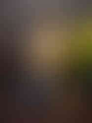 Brass Black antique Buddha Bust Idol