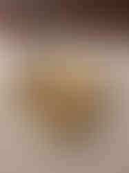 Brass Sangu decorative Diya – 7.2″