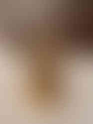 Pure Brass Lakshmi Idol