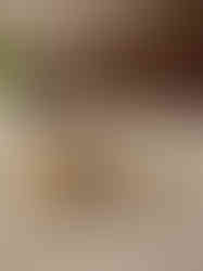 Brass KumKum Chimil 2″