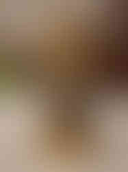 Brass Radha Krishna Blue Stone Finish 10''