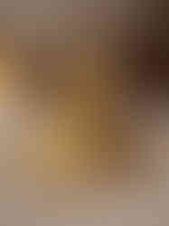 Brass Adi Yohi Idol 5"