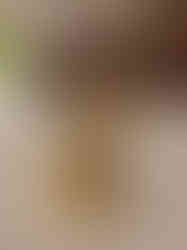 Brass Fine art Lakshmi Idol