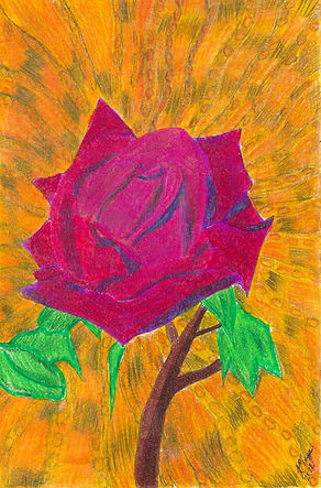 Flower, Rose