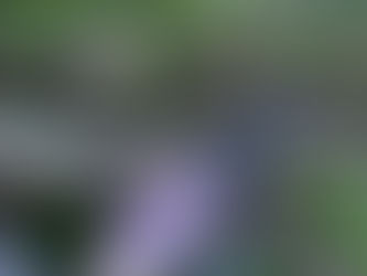 Calendário do Advento - Dia 13