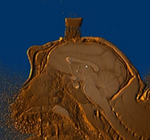 Picture7.png