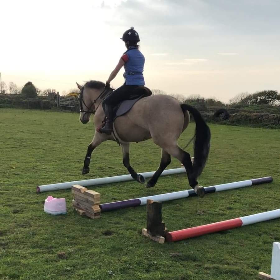 pole work, horses, horse poles, canter poles, trot pole, young horses