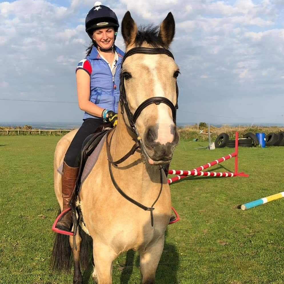 Young horse, dun horse, training horses