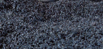 polverino-2_edited.jpg