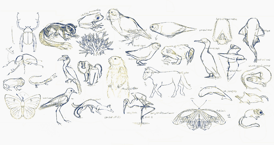 IMG_1952.PNG