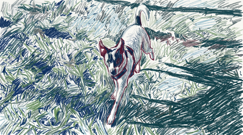 Baby in Missoula. Colored Pencils.