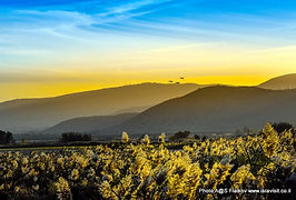 Экскурсия на озеро Кинерет и в заповедник птиц в долину озера Хула. 