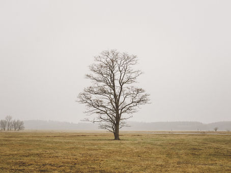 ¿Qué sabemos sobre el duelo?