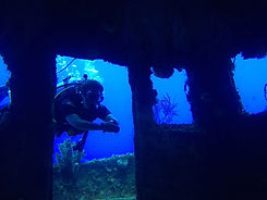Curacao Superior Producer Scuba Diving Sarina Seeks