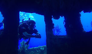 Curacao Superior Producer Scuba Diving Sarina Seeks