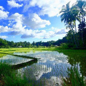 Bohol, Philippines