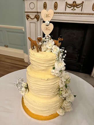 Dave and Megan's wedding cake.JPG
