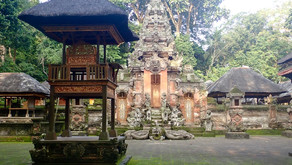 Indonesia ↣ Part 7: Unique Ubud