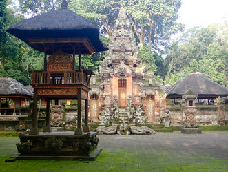 Indonesia ↣ Part 7: Unique Ubud