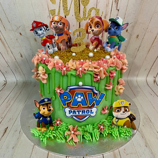 Paw Patrol Cake