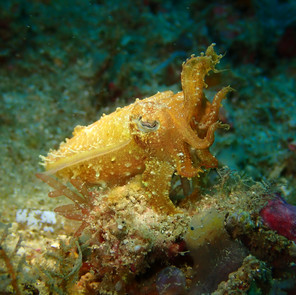 Lombok, Indonesia