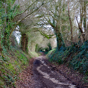 South Downs, England