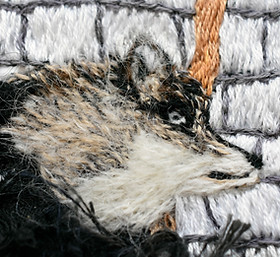 DSC_5575-Edit.jpg