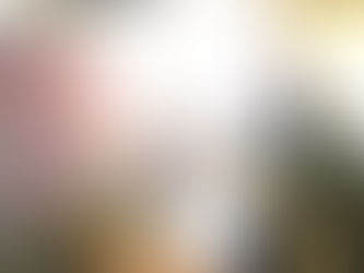 19.3.25北柏ナーシングケアセンターさんに行きました。