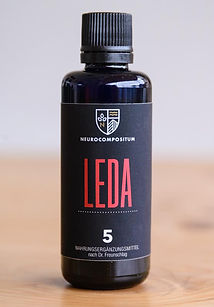 Neurocompositum Leda 5.jpeg