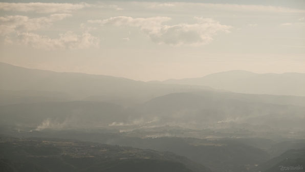 群がり立つひとつ