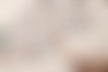 The Revelations(仮)