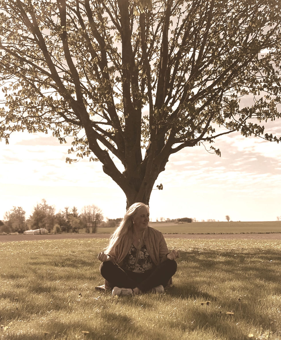 Meditation i naturen