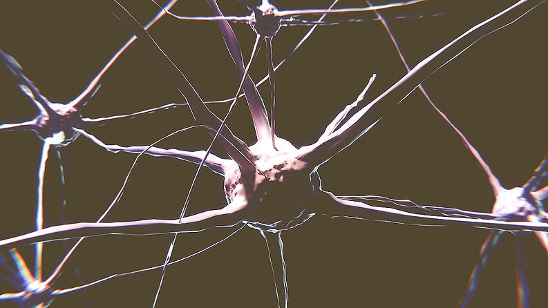 Neurones