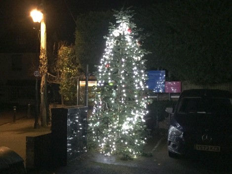 IMG_1102a - Bramber Christmas Tree.jpg