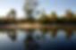 AndrewWilson_3E_289_edited.jpg