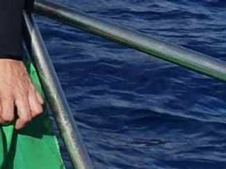 Bioprospecção em Fernando de Noronha