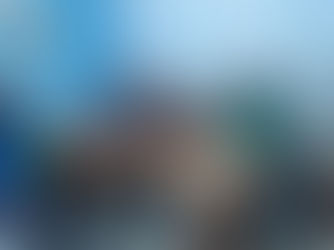 Projeto de parceria entre Prefeitura de Costa Marques e Escola Família Agrícola 