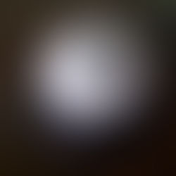 Hollywood Tower Hotel bell