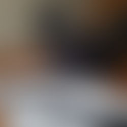 Magical Holiday Planning